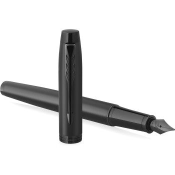 Ручка перьевая Parker IM Achromatic F317, Matt Black BT (Перо F)
